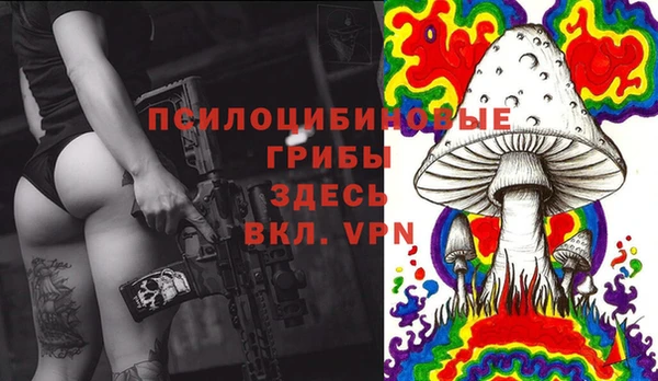 кокс Гусь-Хрустальный